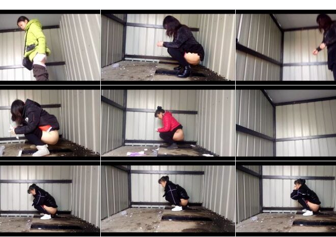 Simple dry toilet 11-13