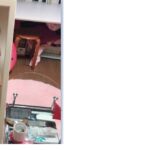 nyu824 入手困難. ●〇のお散歩！最強SP ☆毛が生え始めたばかりな注のあそこ★ etc９作品+