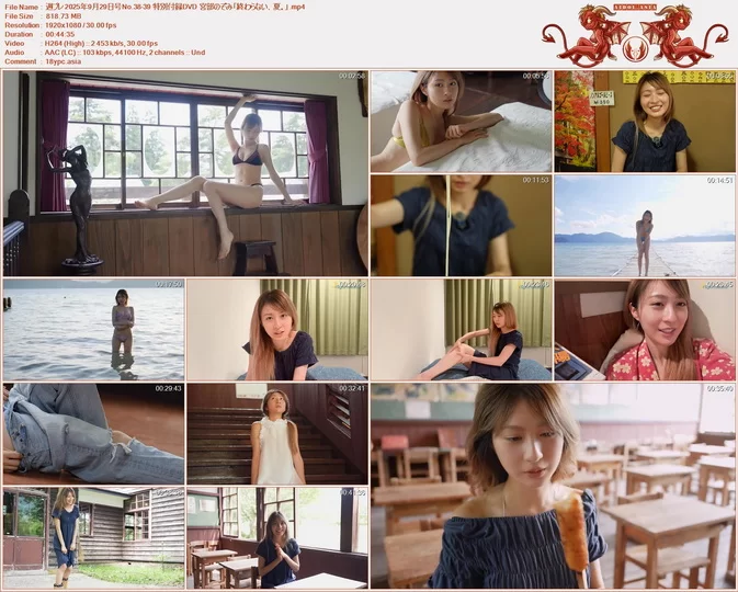 Weekly Playboy 2025年9月29日号No.38-39 特別付録DVD Nozomi Miyabe 「終わらない、夏。」